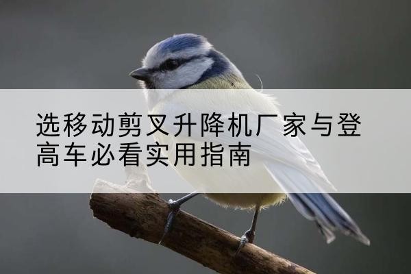 鸠江电动升降机厂家-选移动剪叉升降机厂家与登高车必看实用指南