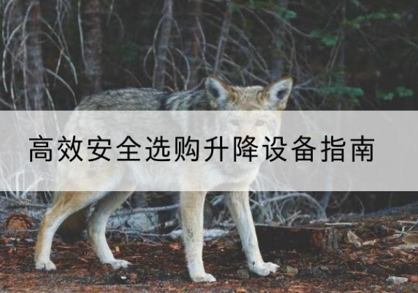 鸠江升降货梯厂家推荐-*安全选购升降设备指南