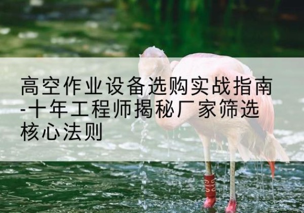 鸠江剪叉式升降机厂家-高空作业设备选购实战指南-十年工程师揭秘厂家筛选核心法则